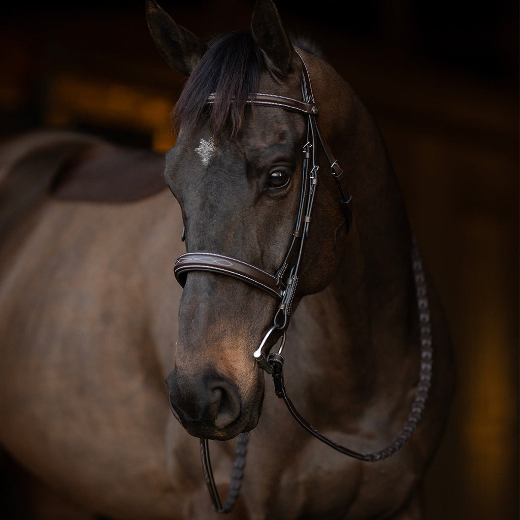 Henri de Rivel Pro Mono Crown Bridle with Padded Wide Noseband  with Laced Reins