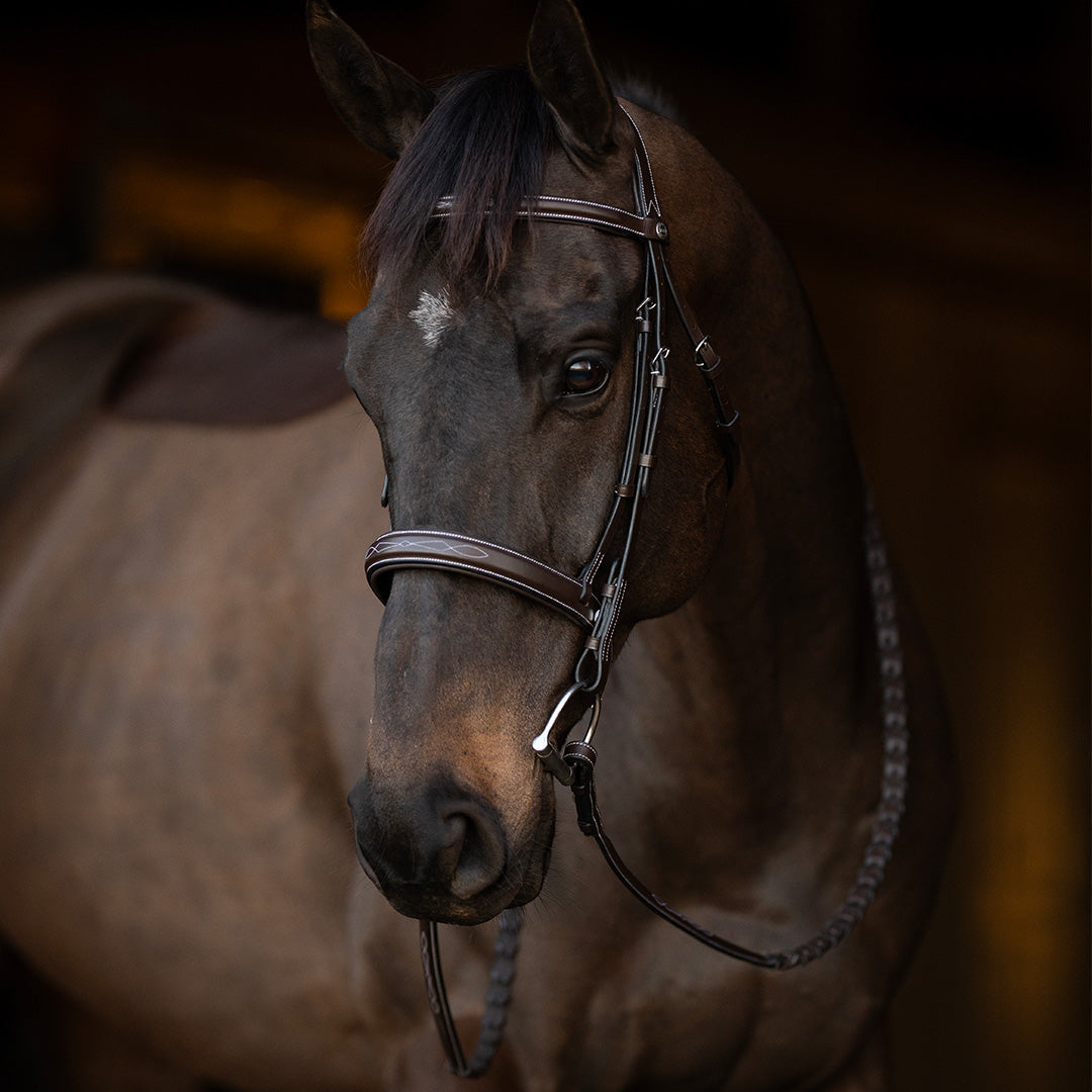Henri de Rivel Pro Mono Crown Bridle with Padded Wide Noseband  with Laced Reins