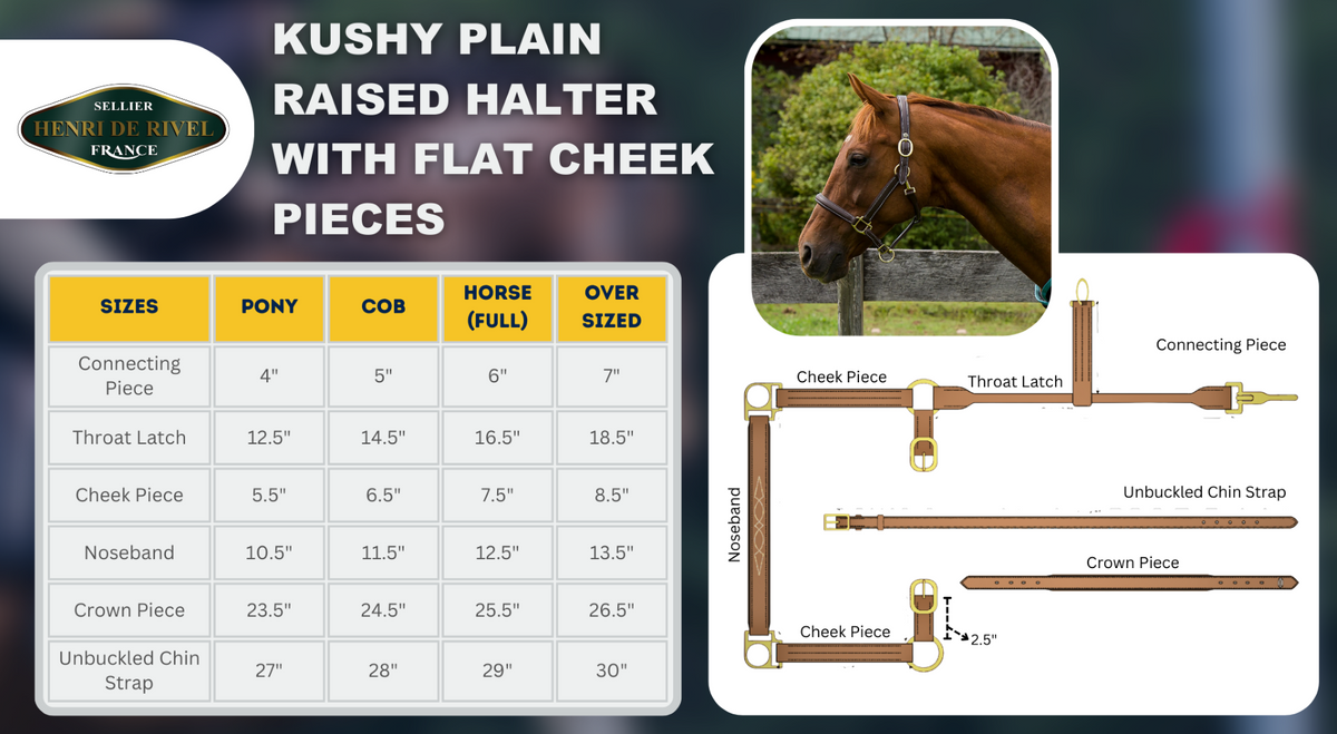 Henri de Rivel Kushy Plain Raised Halter W/ Flat Cheek Pieces