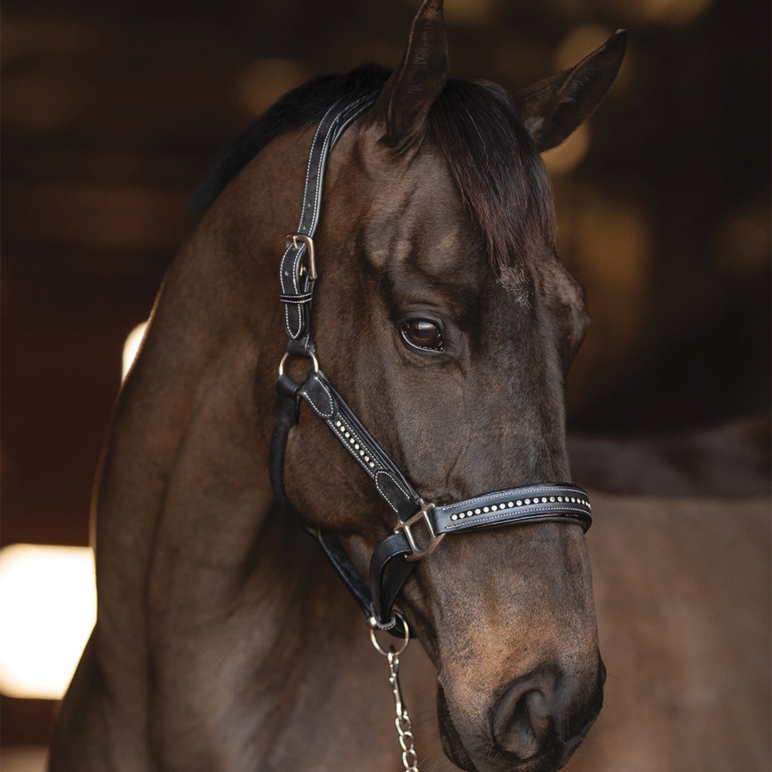Henri de Rivel Ergonomic Premium Leather Padded Crystals Halter