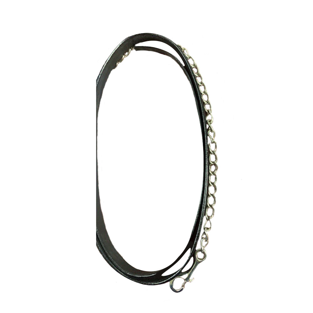 Henri de Rivel Pro Collection Leather Lead with 24" Solid Silver Chain - Breeches.com