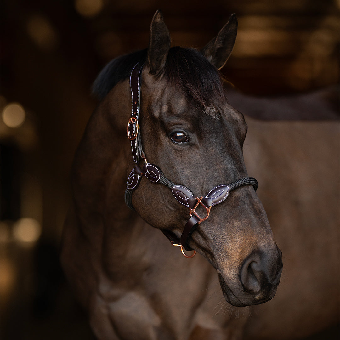 Henri de Rivel Ergonomic Leather Rope Halter