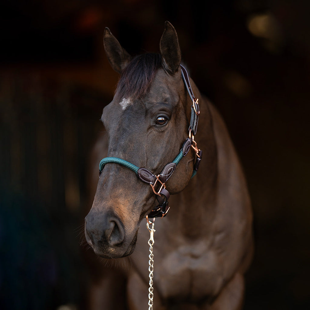 Henri de Rivel Ergonomic Leather Rope Halter