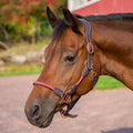 Henri de Rivel Ergonomic Leather Rope Halter