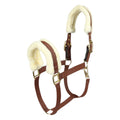 Henri de Rivel Sherpa Fleece Halter with Leather Breakaway