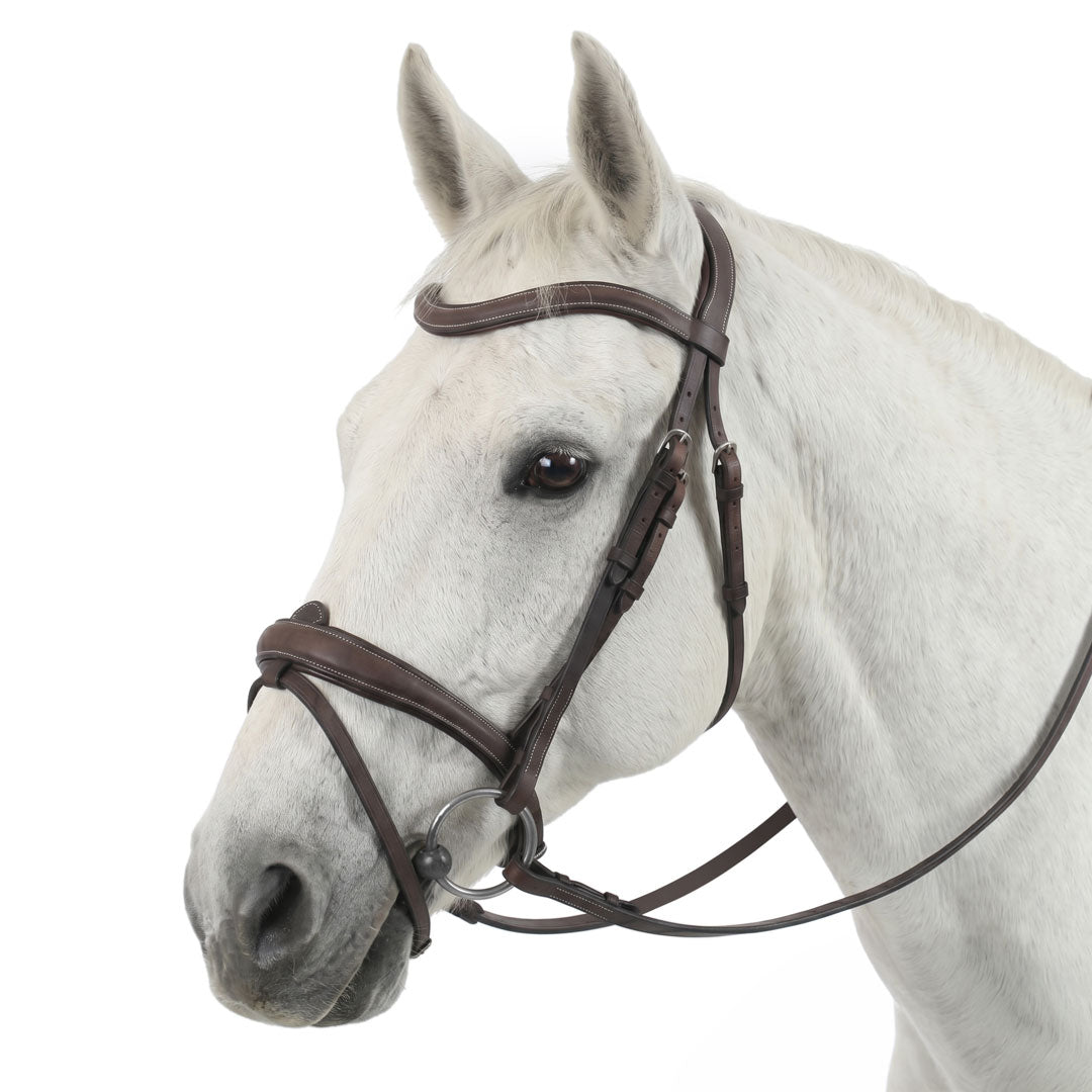Henri de Rivel Americana Padded Anatomical Bridle with Reins