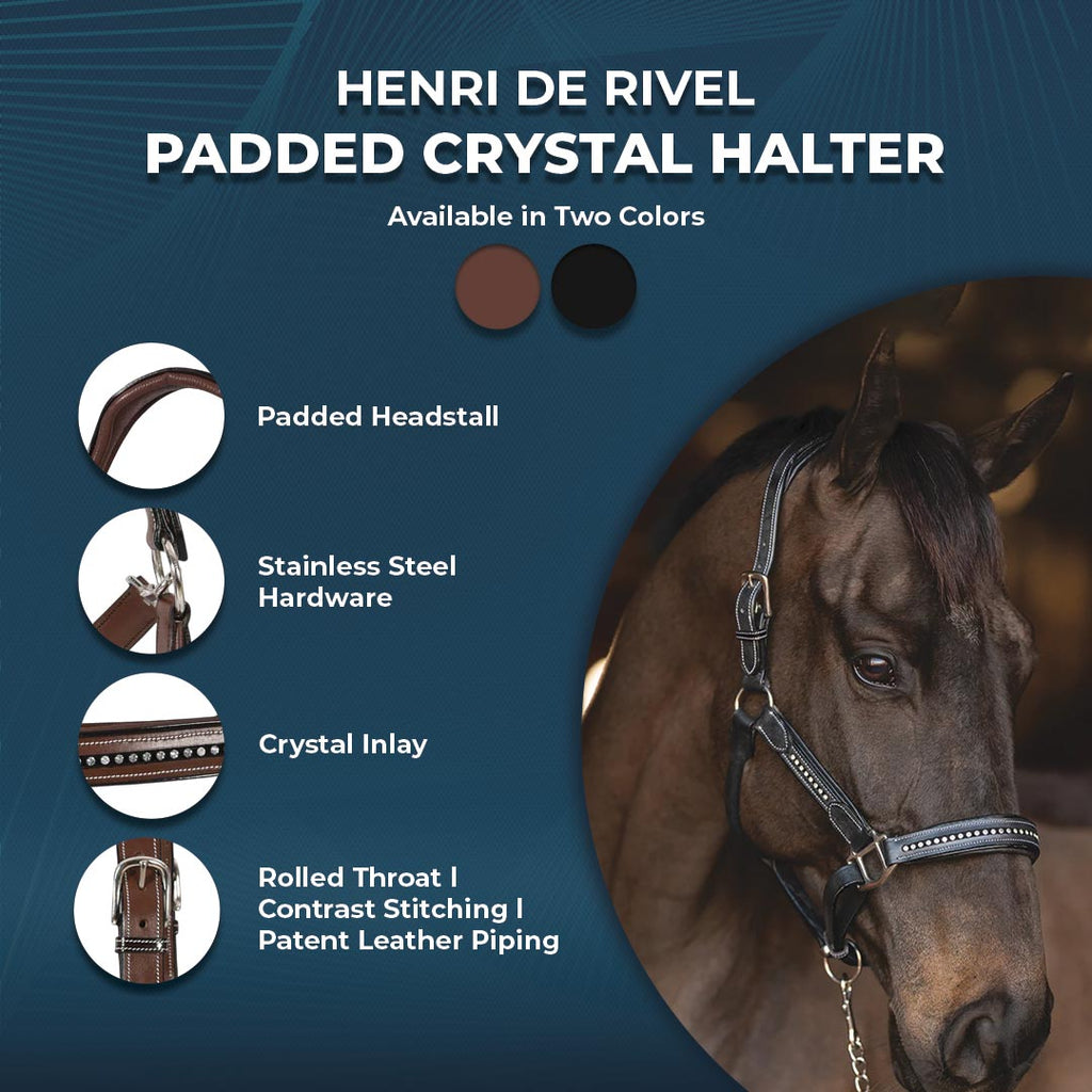Henri de Rivel Ergonomic Premium Leather Padded Crystals Halter